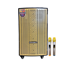 LOA KÉO HÁT KARAOKE GIA ĐÌNH 600W- ÂM THANH MẠNH MẼ, MICRO KHÔNG DÂY, DỄ DI CHUYỂN