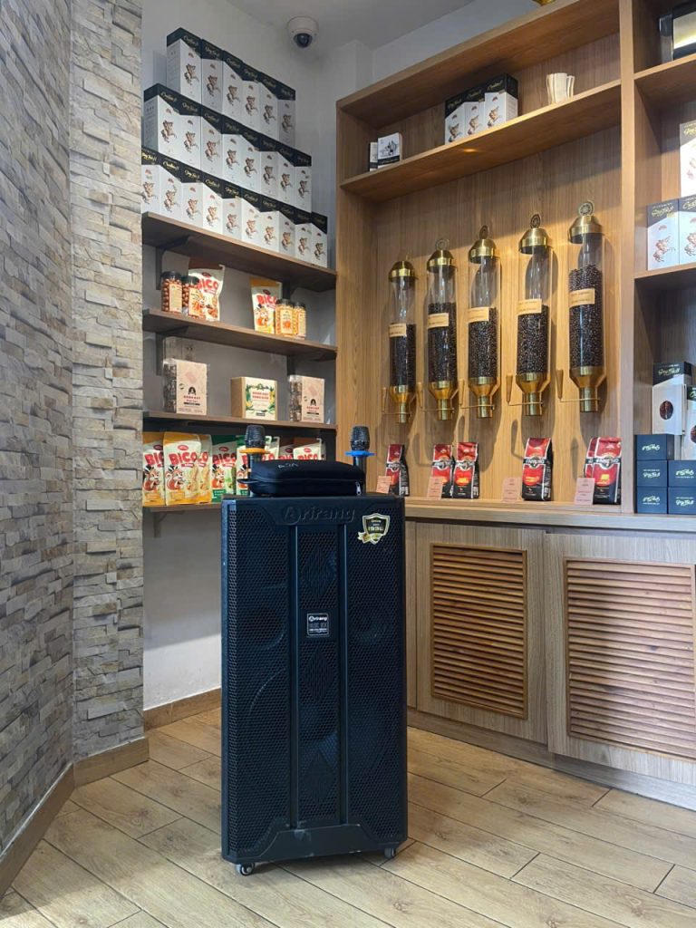 thue-loa-keo-giao-hang-tan-noi