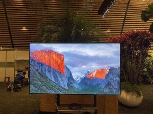 thue-tivi-trinh-chieu-hoi-thao